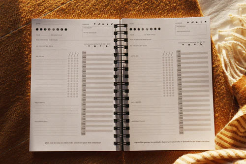 Le journal Ambition