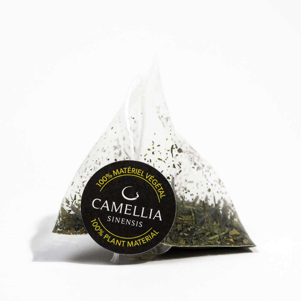 Thé vert - Camellia Sinensis | Sencha Nagashima