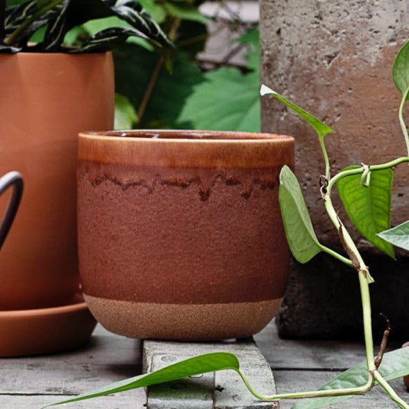 Cache-pot