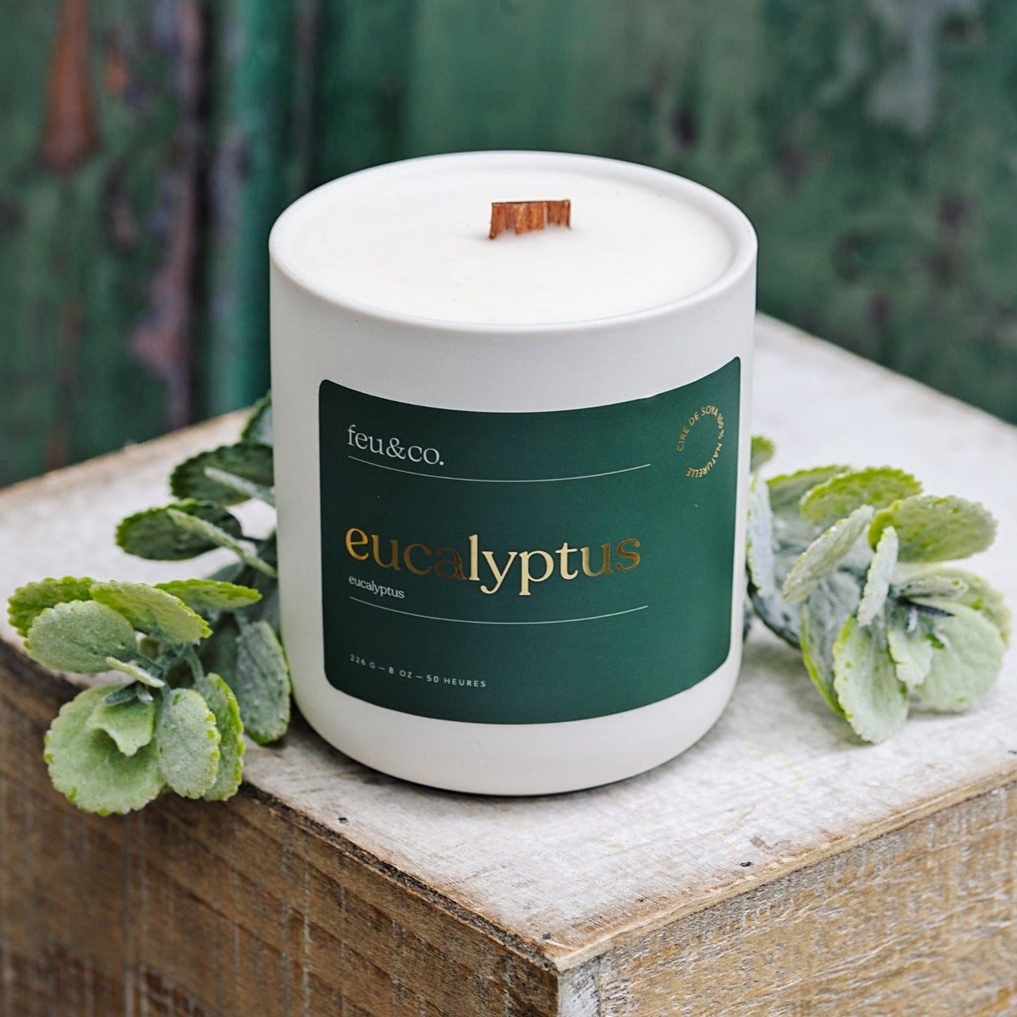 Bougie de soya - eucalyptus