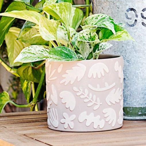 Cache-pot