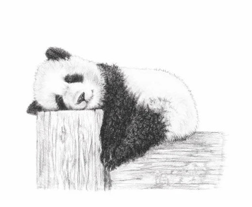 Carte - Le Nid Atelier | Pause panda