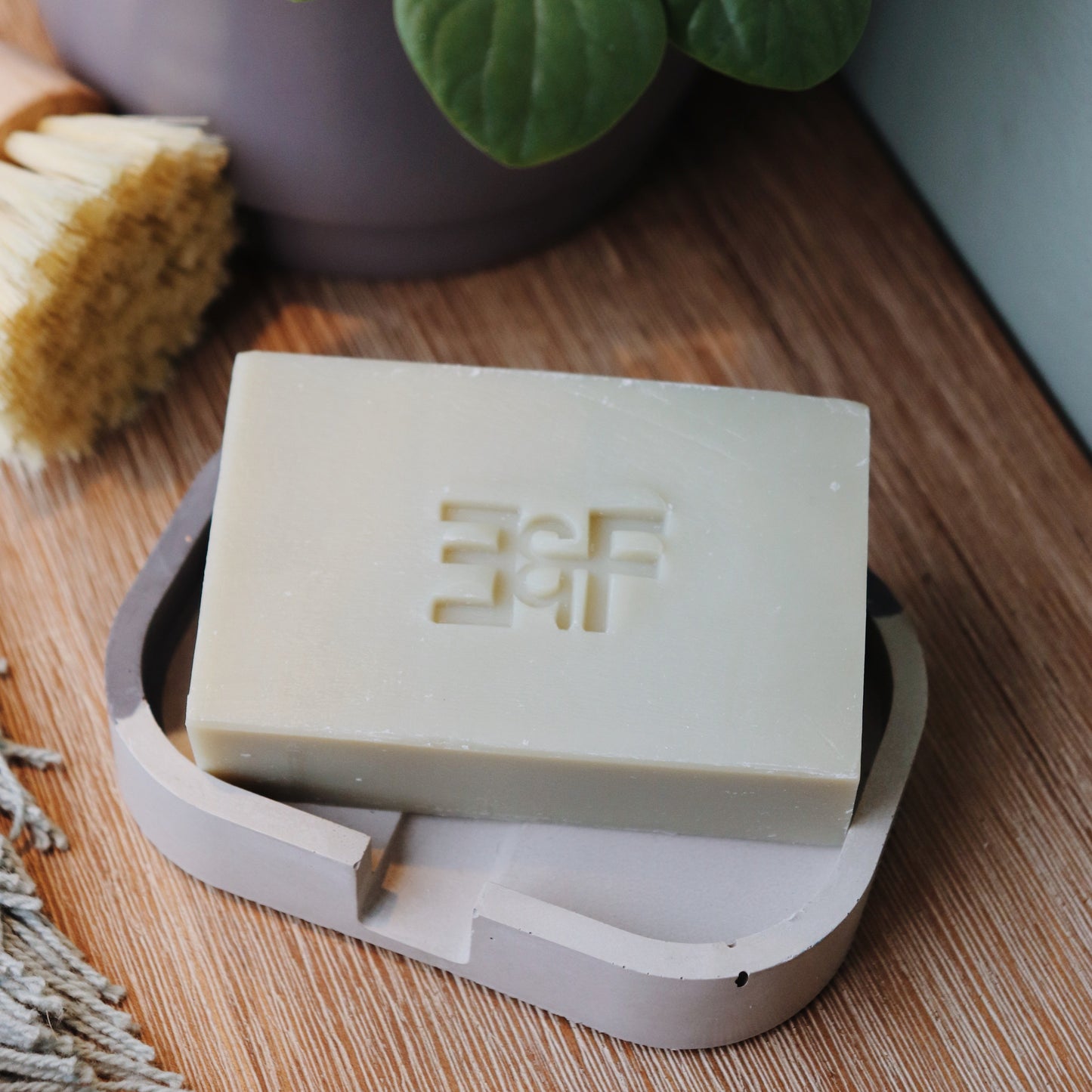 savon-a-vaisselle,boutique-casa-luca-ahuntsic,montreal,produits-canadiens,fait,canada,fabrique,boutique-casa-luca,vegane,savon-vaisselle,savon-a-vaisselle,chic-frigo-sans-fric,zero-dechet