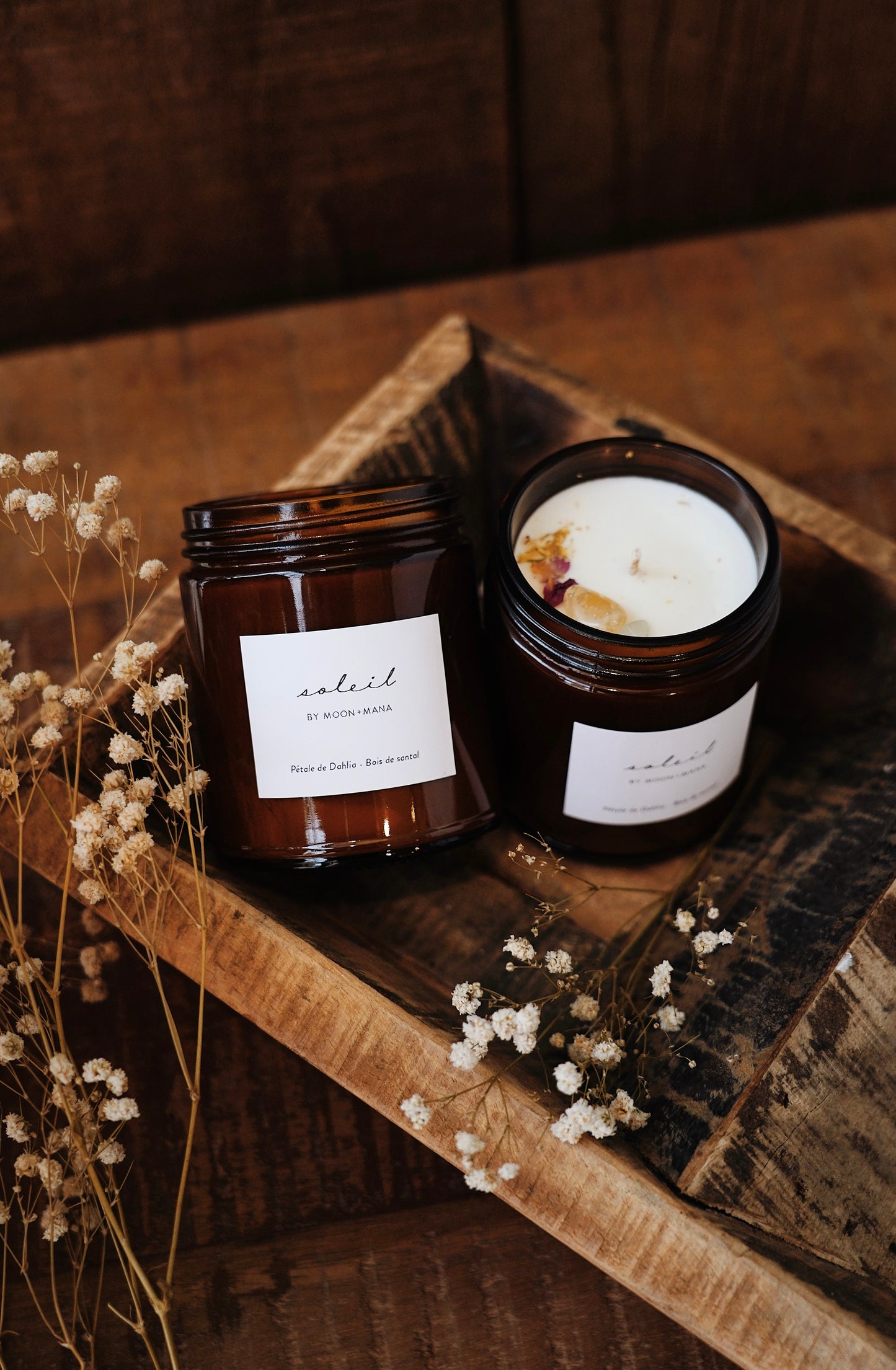 Bougie de soya - Soleil | pétale de Dalhia et bois de santal