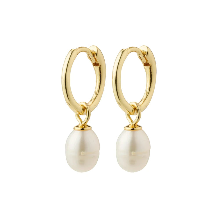 boucles-doreilles-plaque-or-pilgrim-berthe-montreal,or,bijou,bijoux,boucles-doreilles,montreal,ahuntsic,boutique-casa-luca,casa-luca,gold,plaque-or