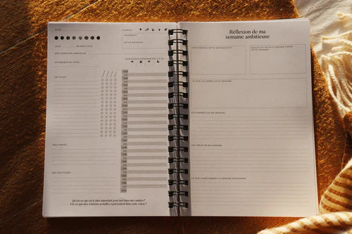 Le journal Ambition