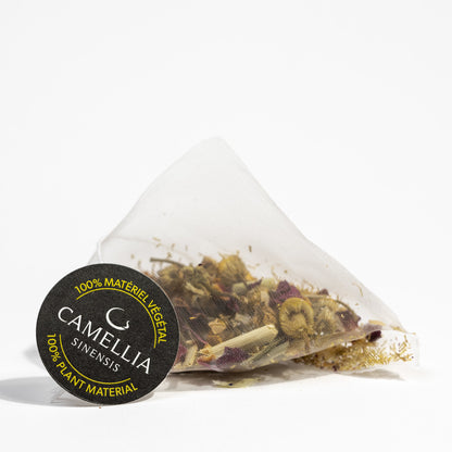 Tisane - Camellia Sinensis | Sublime Camomille