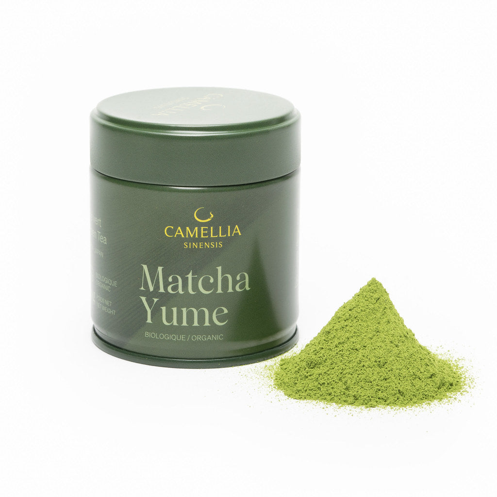 matcha-yume-camellia-sinensis