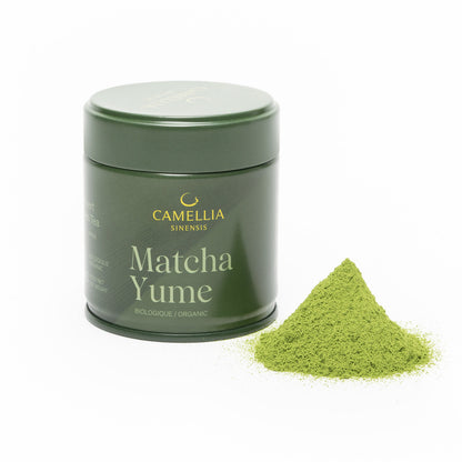 matcha-yume-camellia-sinensis