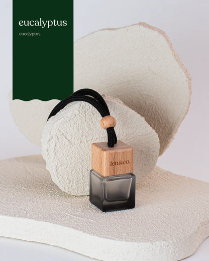 Diffuseur pour voiture - Feu & Co