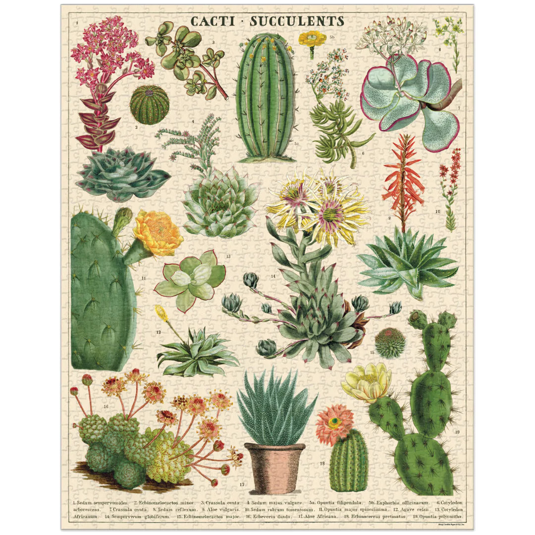 casse-tete-1000-pieces-cacti-succulents,casse-tete,1000-morceaux, puzzle,montreal,mtl,ahuntsic,boutique-casa-luca,casa-luca,casaluca, Cavallini-&-Co