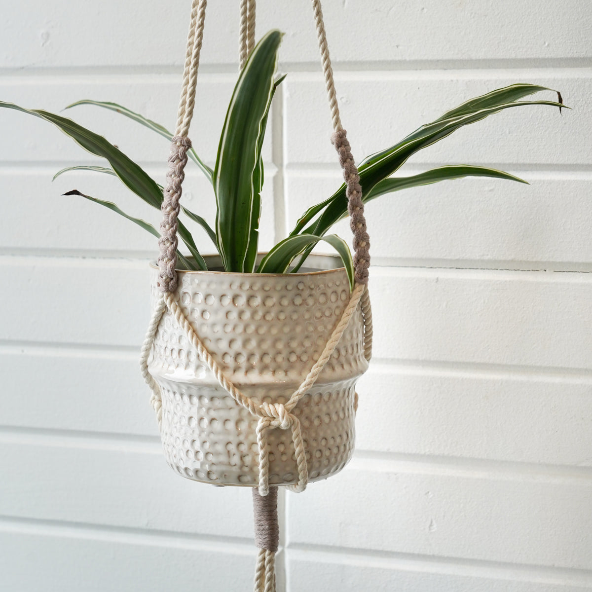 jardiniere-minimaliste-creme-et-latte,montreal,idee-cadeau,cache-pot,inspiration ,pot-suspendu,cache-pot-suspendu,tendance,jardinière,montreal,boutique-casa-luca, casa-luca,ahuntsic,montreal,jardiniere-macrame,macrame