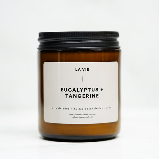 bougie-de-soya-eucalyptus-et-tangerine,montreal,soya,fait-a-la-main,fait-au-quebec,la-vie,atelier-la-vie-apothicaire,montreal,eucalyptus,menthe,montreal, boutique-montreal,boutique-casa-luca