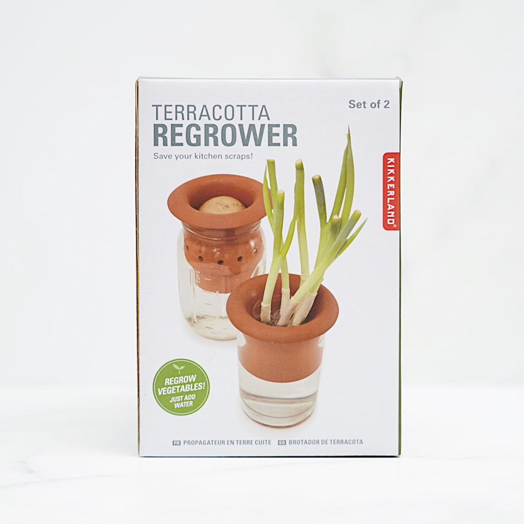 cultivateur-en-terre-cuite,jardin,plantes,plante,potager,kikkerland,pot,ahuntsic,casa-luca,montreal,casaluca,legumes,propagateur