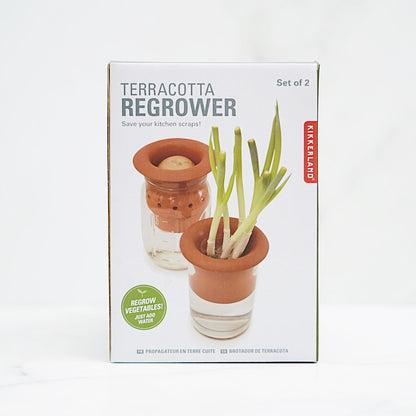 cultivateur-en-terre-cuite,jardin,plantes,plante,potager,kikkerland,pot,ahuntsic,casa-luca,montreal,casaluca,legumes,propagateur