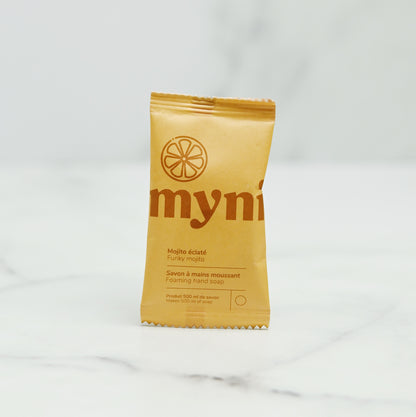 pastille-savon-a-mains-filo,ecolo,pastille-nettoyante,casa-luca,casaluca,boutique-casa-luca,montreal,ahuntsic,zero-dechet,lime-et-coriandre,the-vert-concombre,